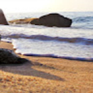 Meet your Posher, Katy